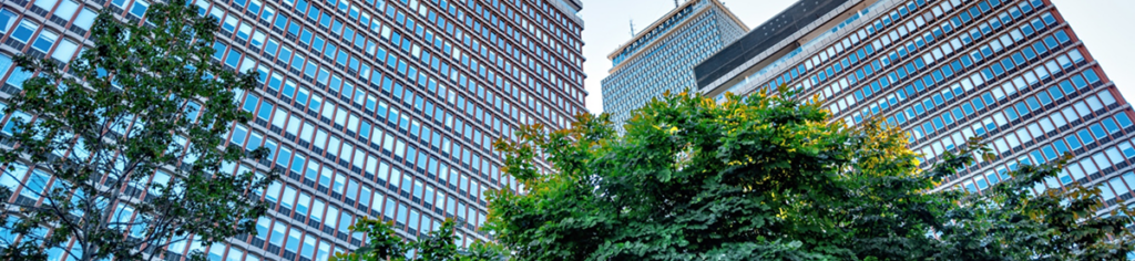 Banner con inteligencia artificial