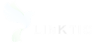 LinkTIC Logo